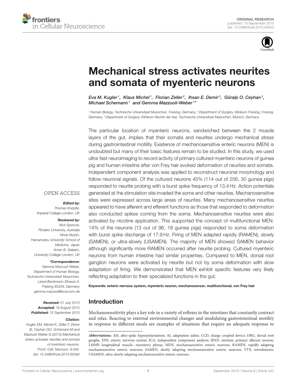 Mechanical Stress Activates Neurites and Somata of Myenteric Neurons
