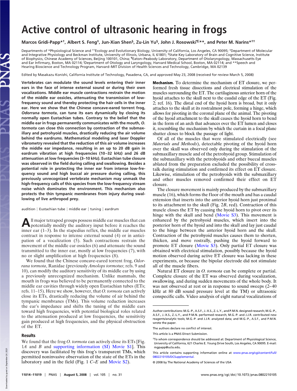 Active Control of Ultrasonic Hearing in Frogs