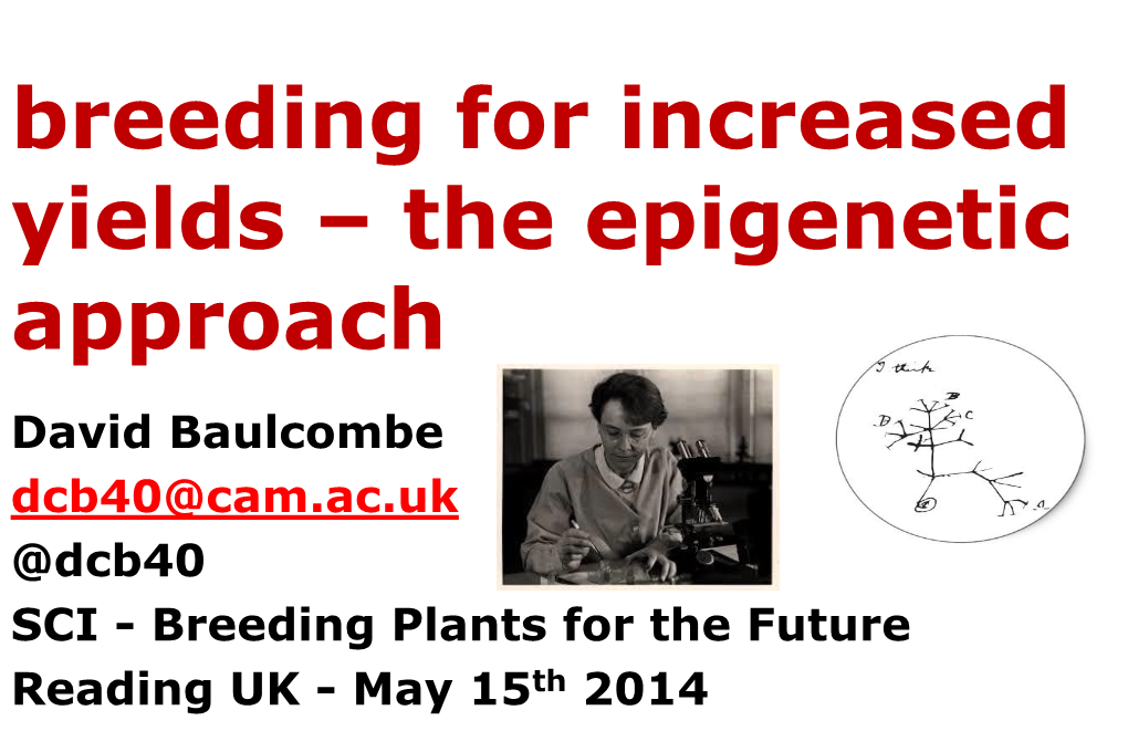 Breeding for Increased Yields – the Epigenetic Approach