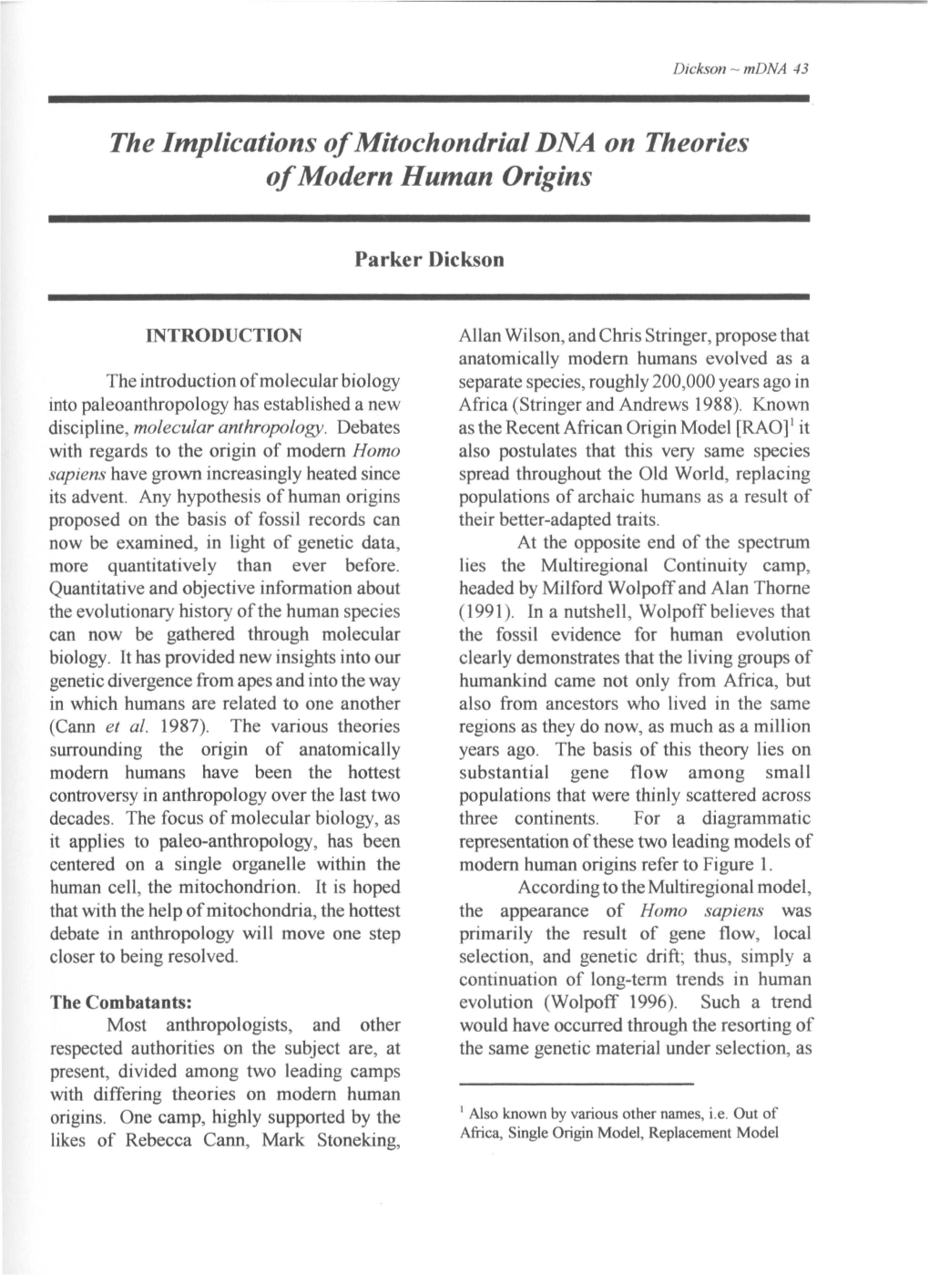 The Implications of Mitochondrial DNA on Theories of Modem Human