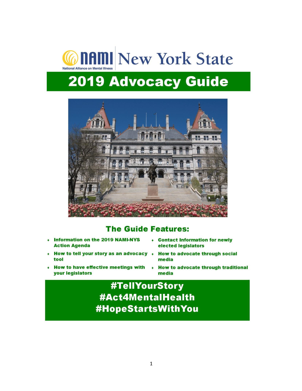 Read NAMI-New York State's 2019 Advocacy Guide Here