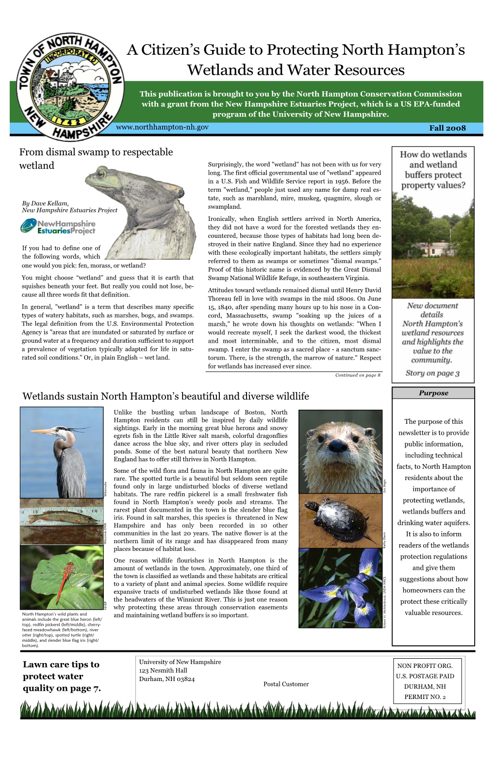 Wetlands Buffer Newsletter, Fall 2008