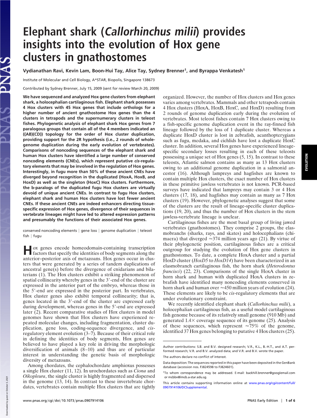 Elephant Shark (Callorhinchus Milii) Provides Insights Into the Evolution of Hox Gene Clusters in Gnathostomes