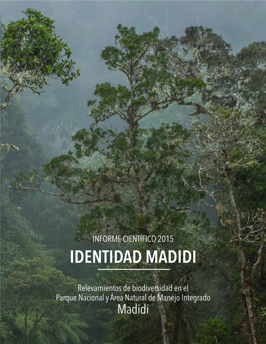 Identidad-Madidi.Pdf