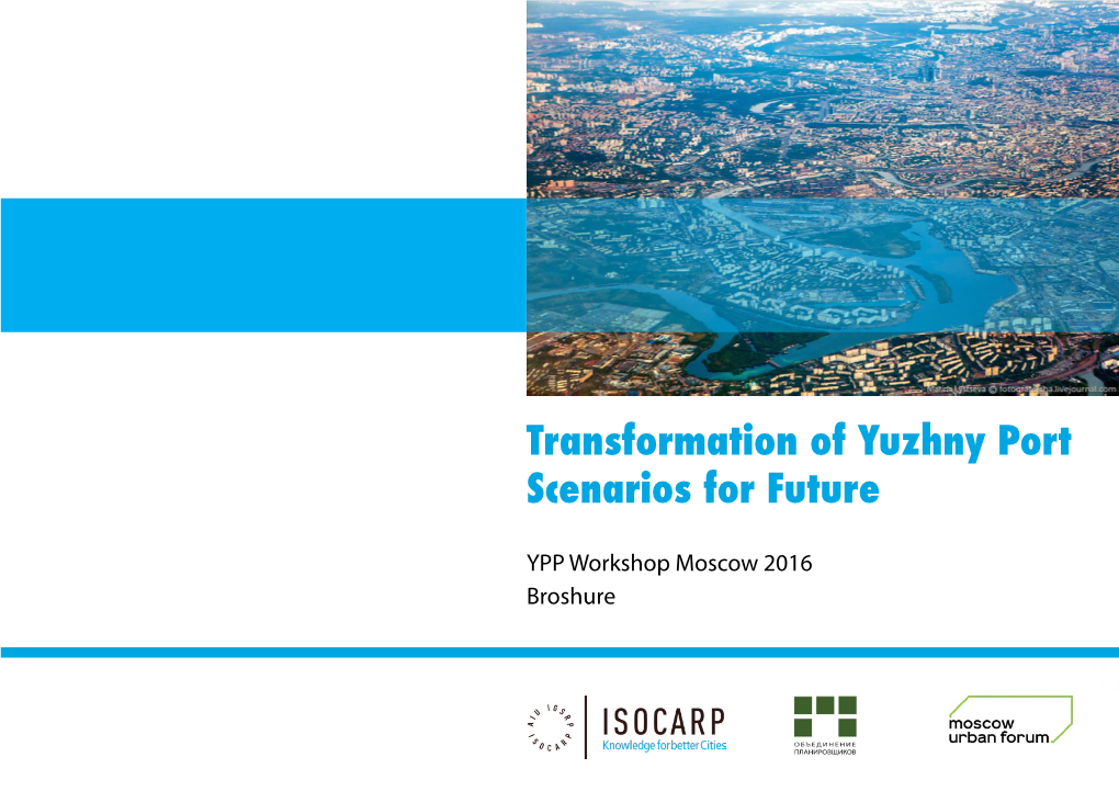 Transformation of Yuzhny Port Scenarios for Future