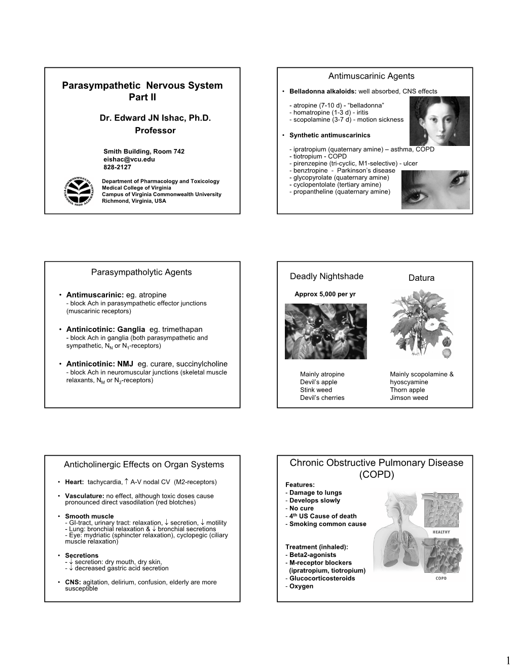 Parasympathetic Nervous System Part II Chronic Obstructive Pulmonary