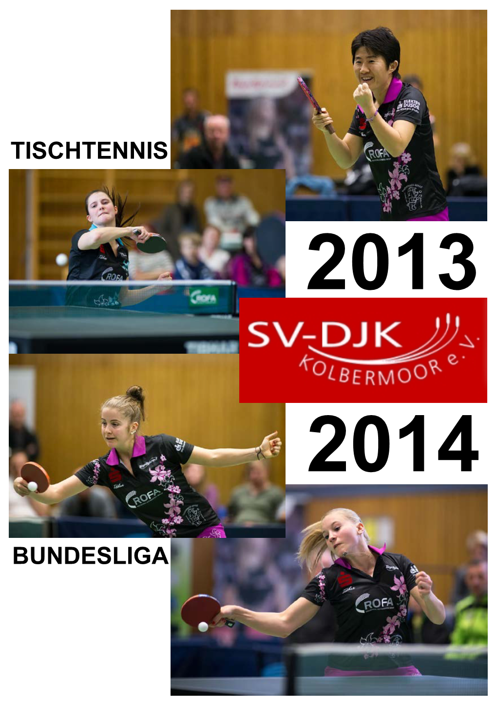 Tischtennis Bundesliga