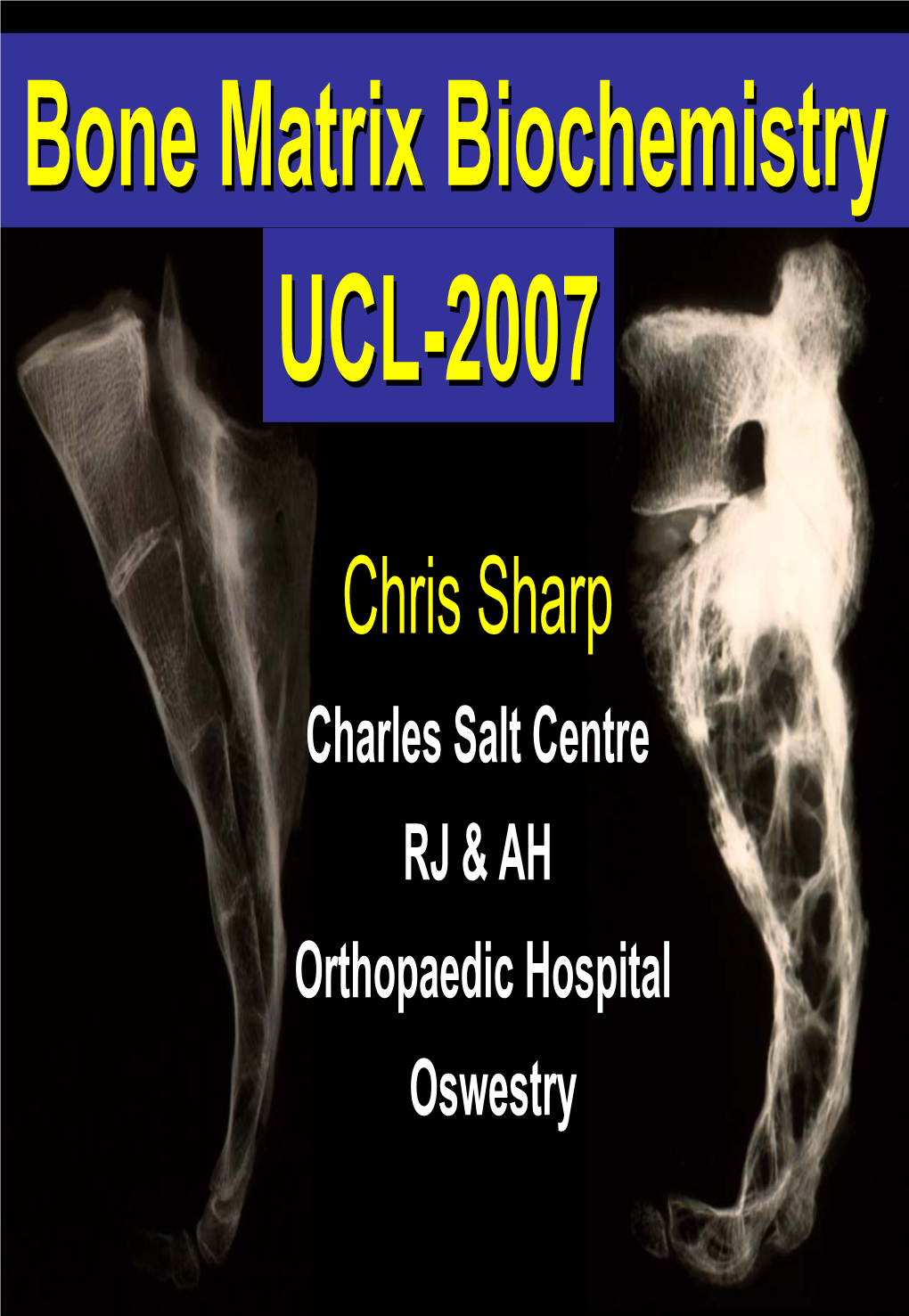 Bone Matrix Biochemistry UCL-2007