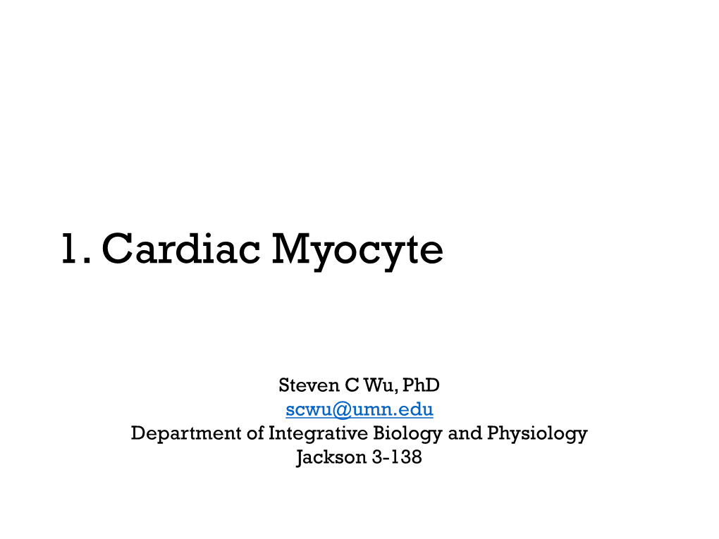 Cardiac Myocytes and Desmosomes Physically Connect Cardiac Myocytes