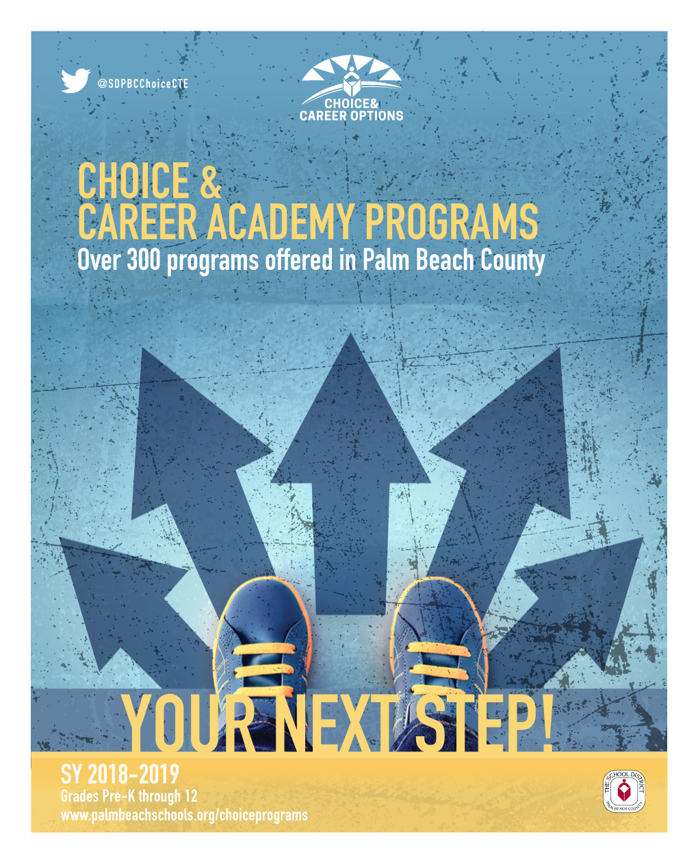 Choice & Career Academy Programs