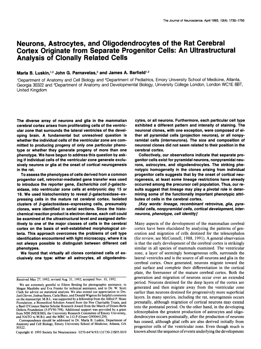 Neurons, Astrocytes, and Oligodendrocytes of the Rat Cerebral Cortex Originate from Separate Progenitor Cells: an Ultrastructural Analysis of Clonally Related Cells