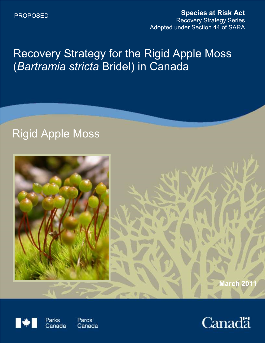 Recovery Strategy for the Rigid Apple Moss (Bartramia Stricta Bridel) in Canada