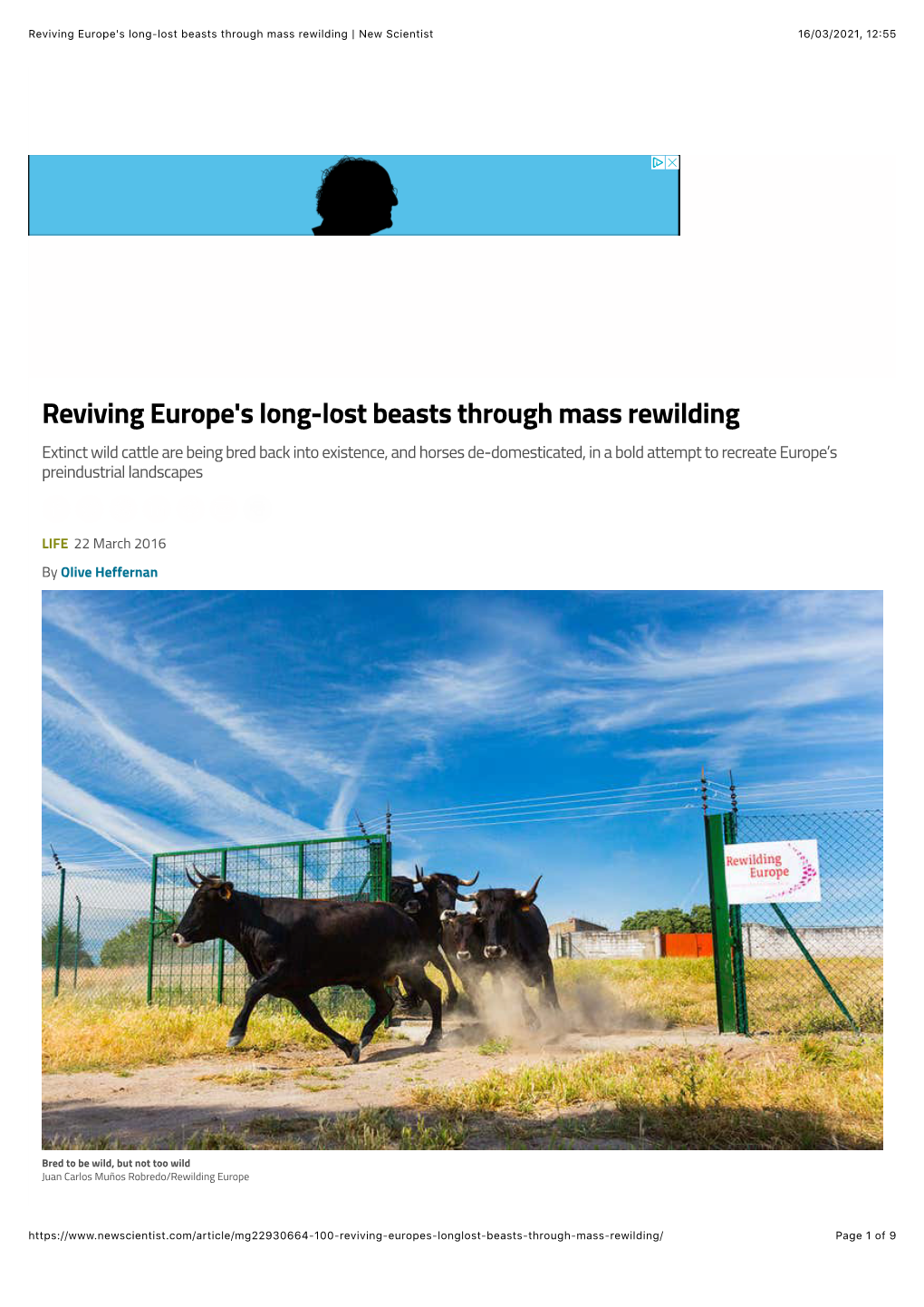 Reviving Europe's Long-Lost Beasts Through Mass Rewilding | New Scientist 16/03/2021, 12:55