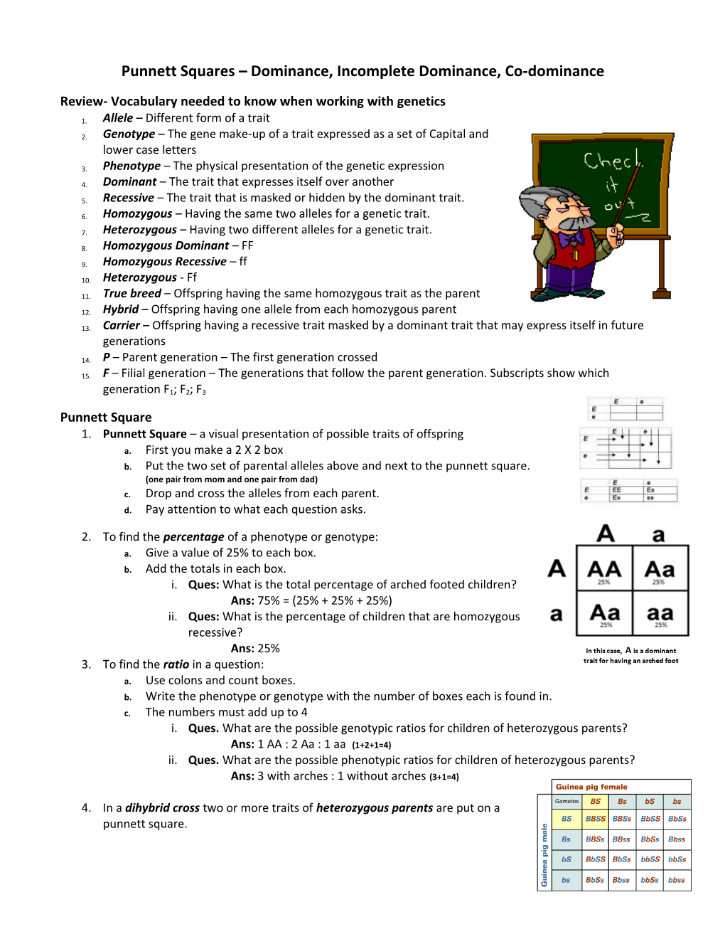 Punnett Squares Dominance, Incomplete Dominance, Co-Dominance