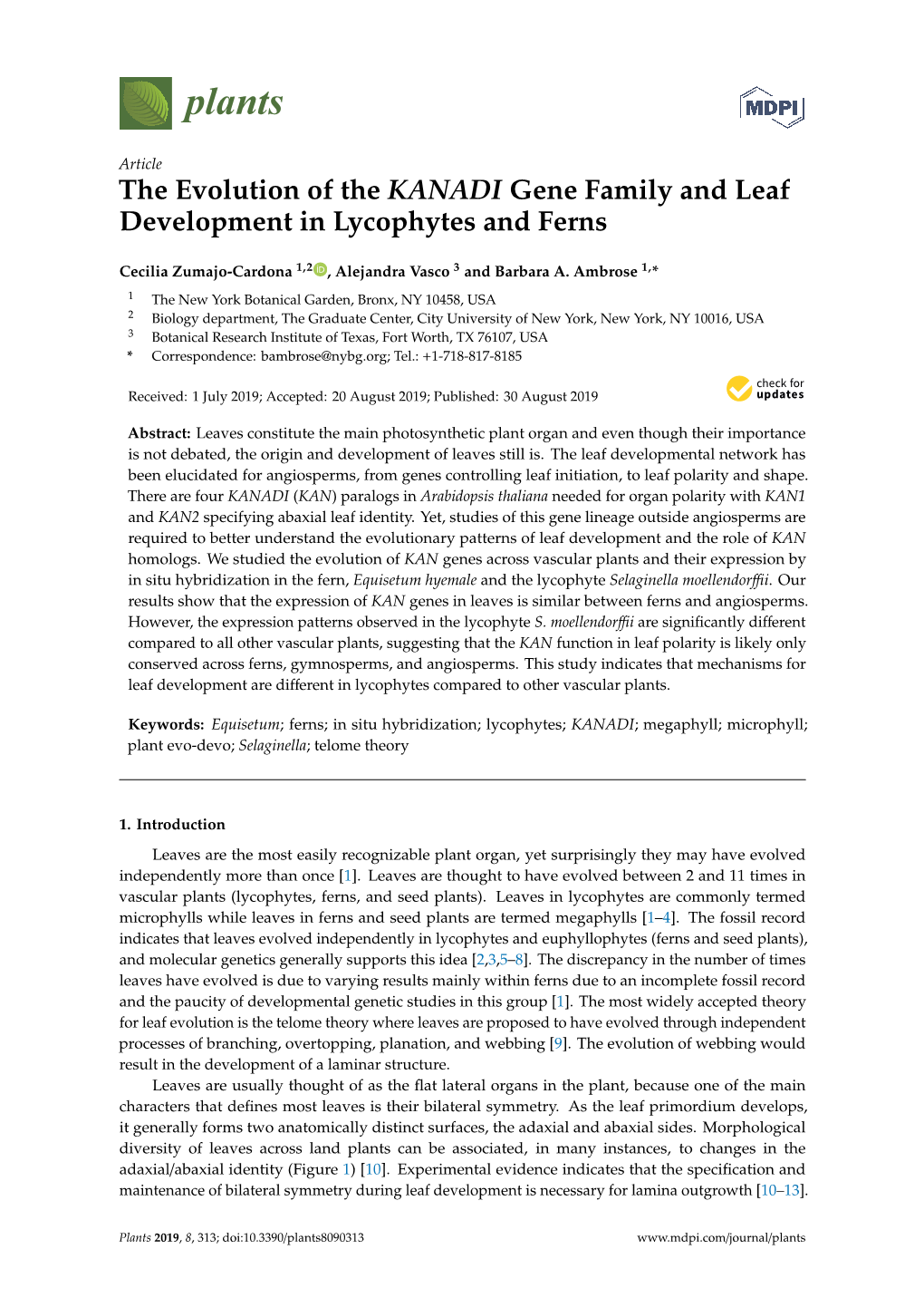 The Evolution of the KANADI Gene Family and Leaf Development in Lycophytes and Ferns