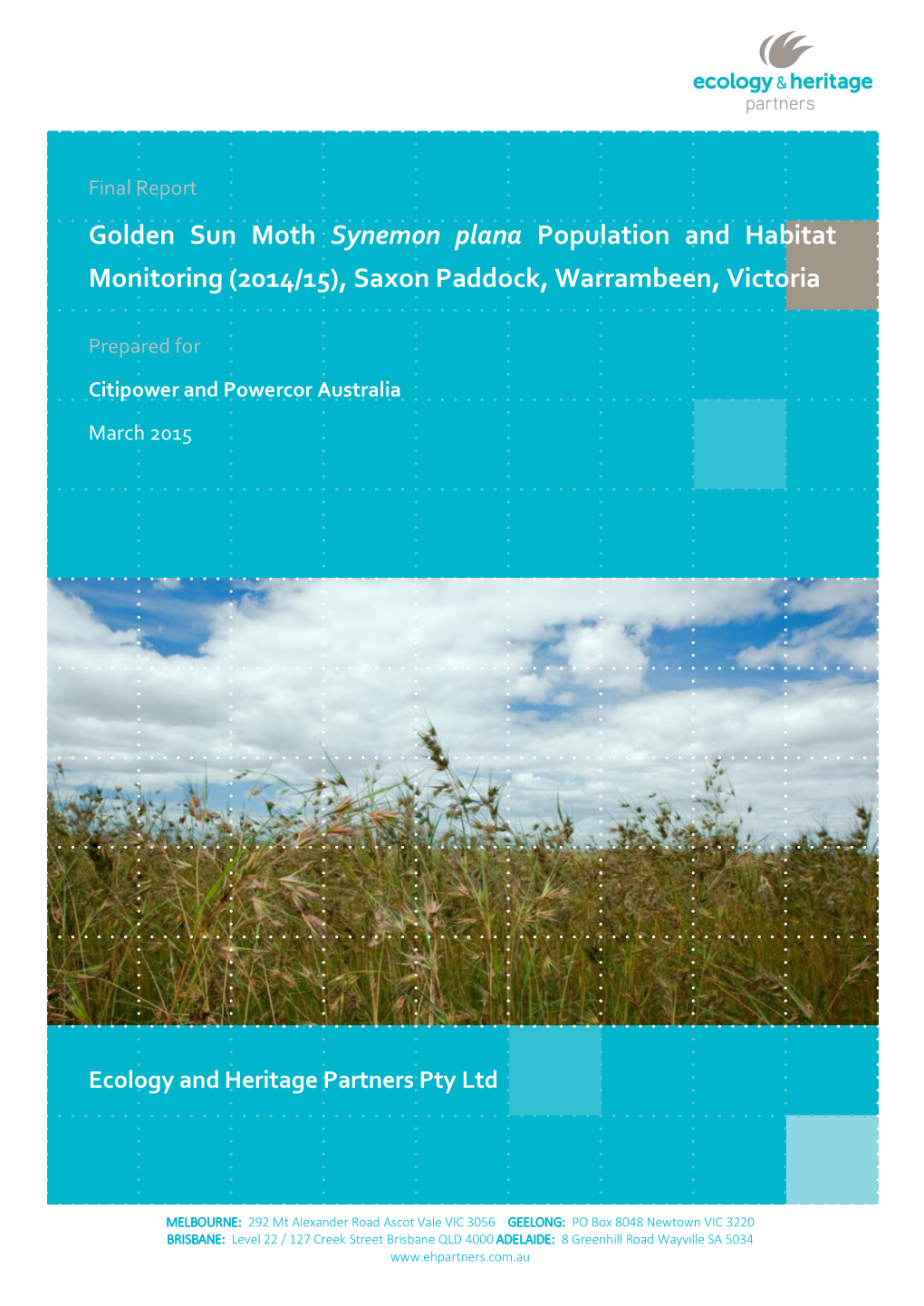 Golden Sun Moth Synemon Plana Population and Habitat Monitoring (2014/15), Saxon Paddock, Warrambeen, Victoria