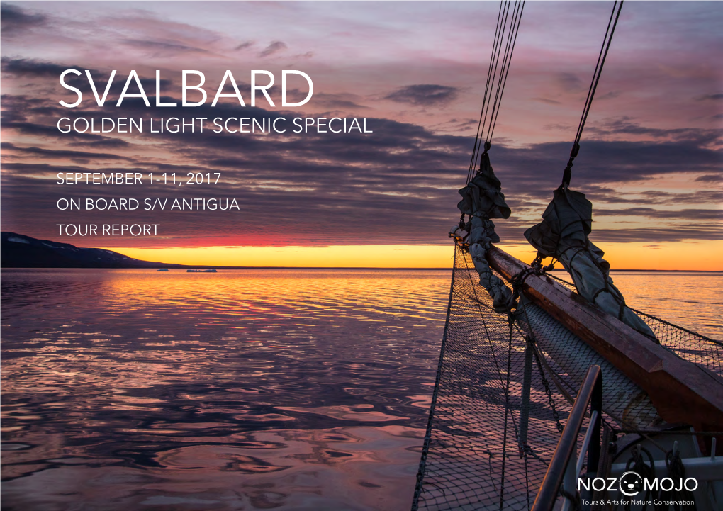 Svalbard Golden Light Scenic Special