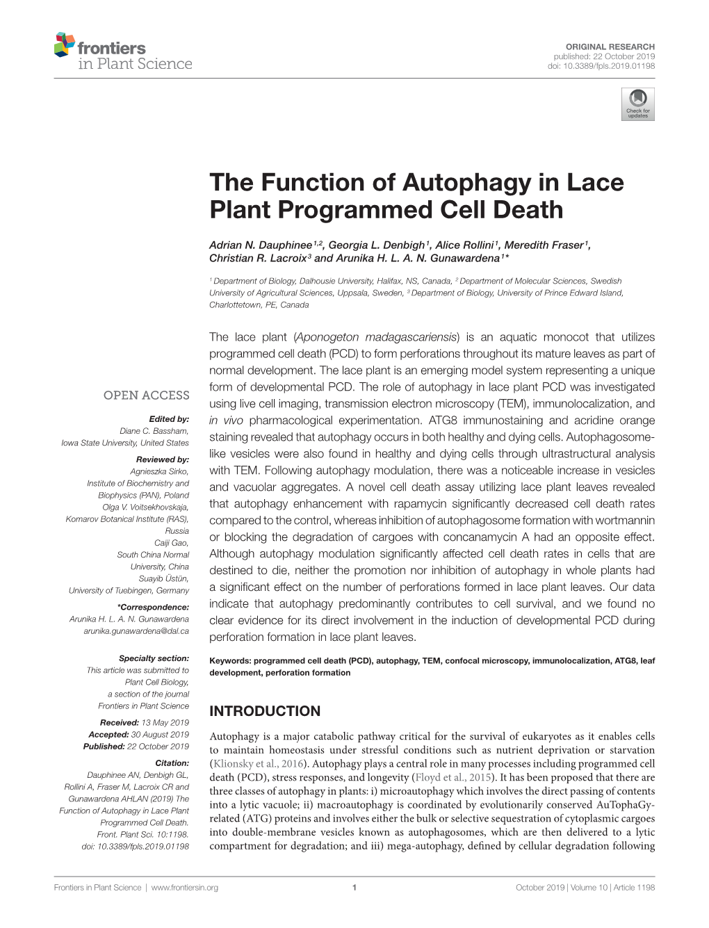 The Function of Autophagy in Lace Plant Programmed Cell Death