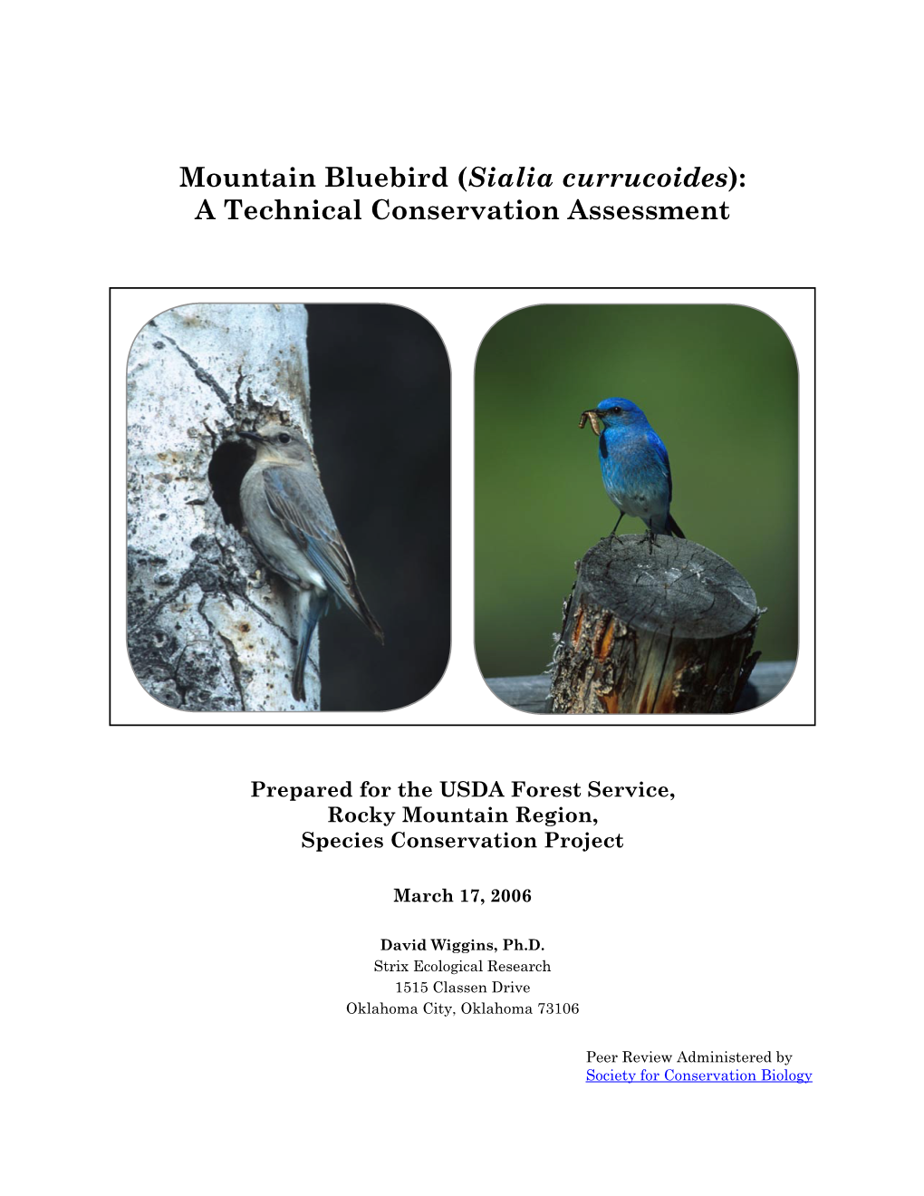 Mountain Bluebird (Sialia Currucoides): a Technical Conservation Assessment