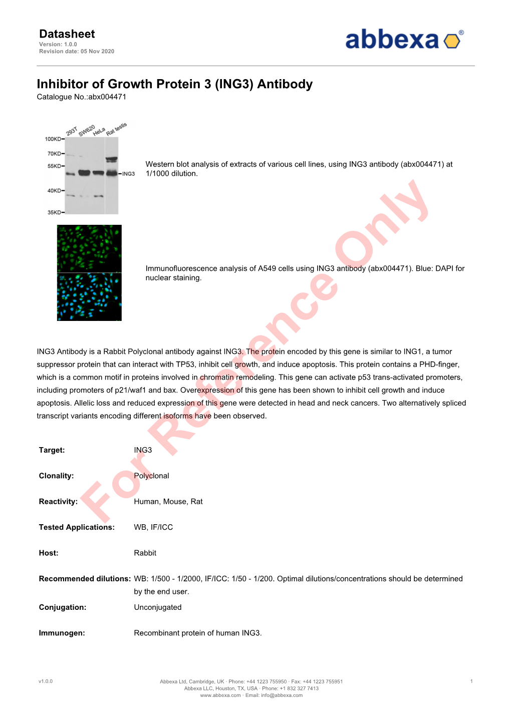ING3) Antibody Catalogue No.:Abx004471