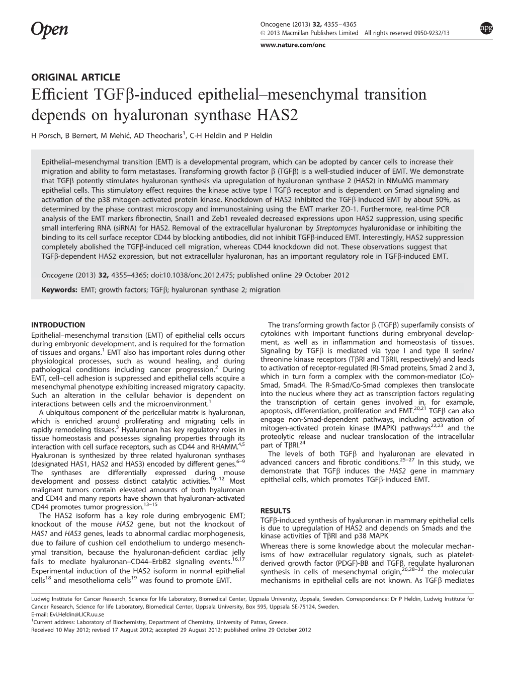 Mesenchymal Transition Depends on Hyaluronan Synthase HAS2