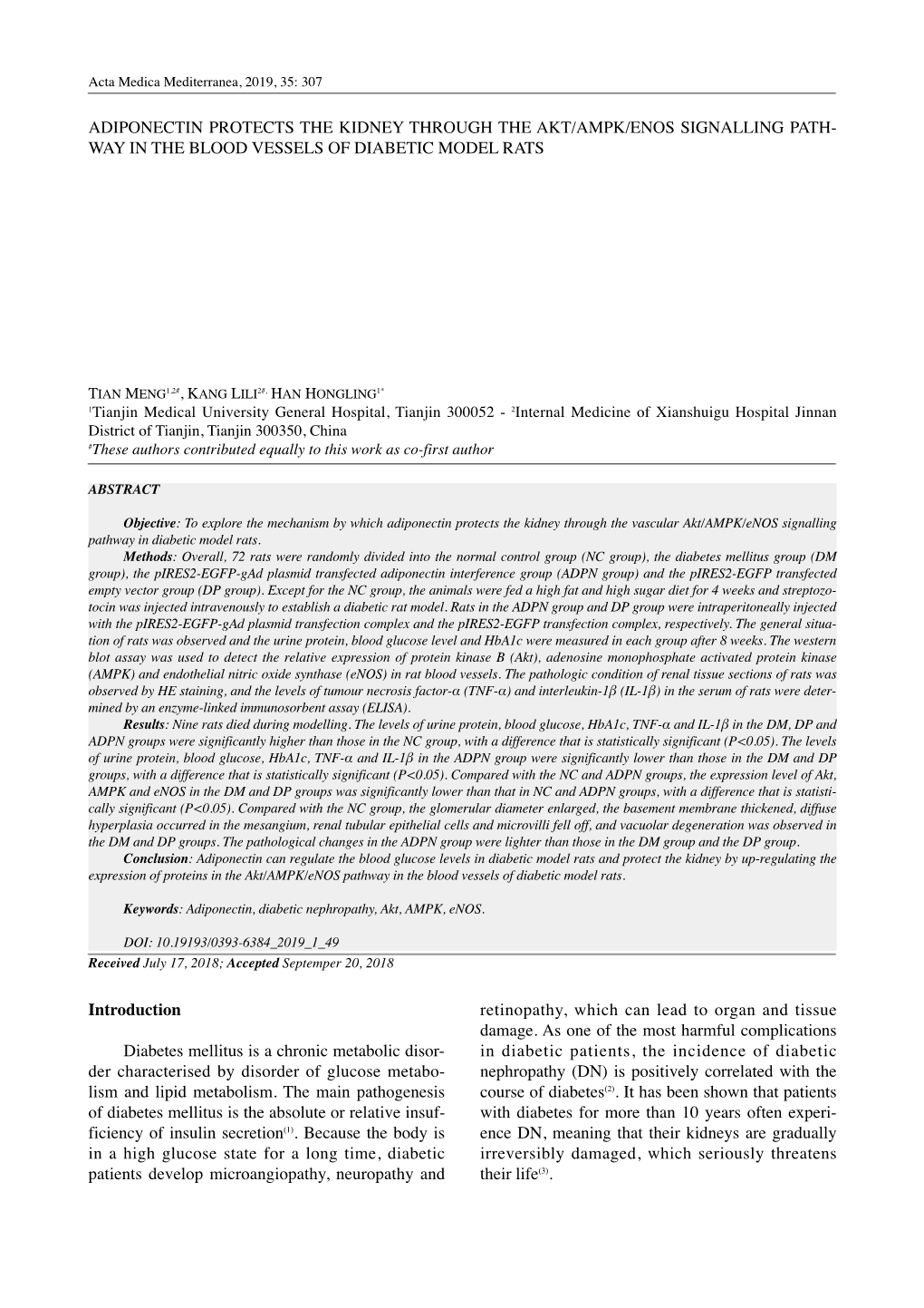 Adiponectin Protects the Kidney Through the Akt/Ampk/Enos Signalling Path- Way in the Blood Vessels of Diabetic Model Rats