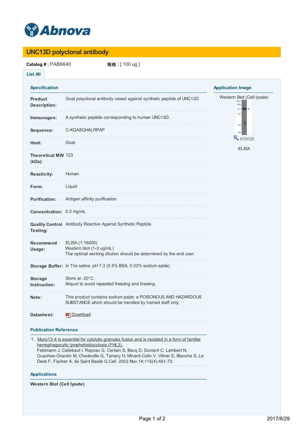 UNC13D Polyclonal Antibody