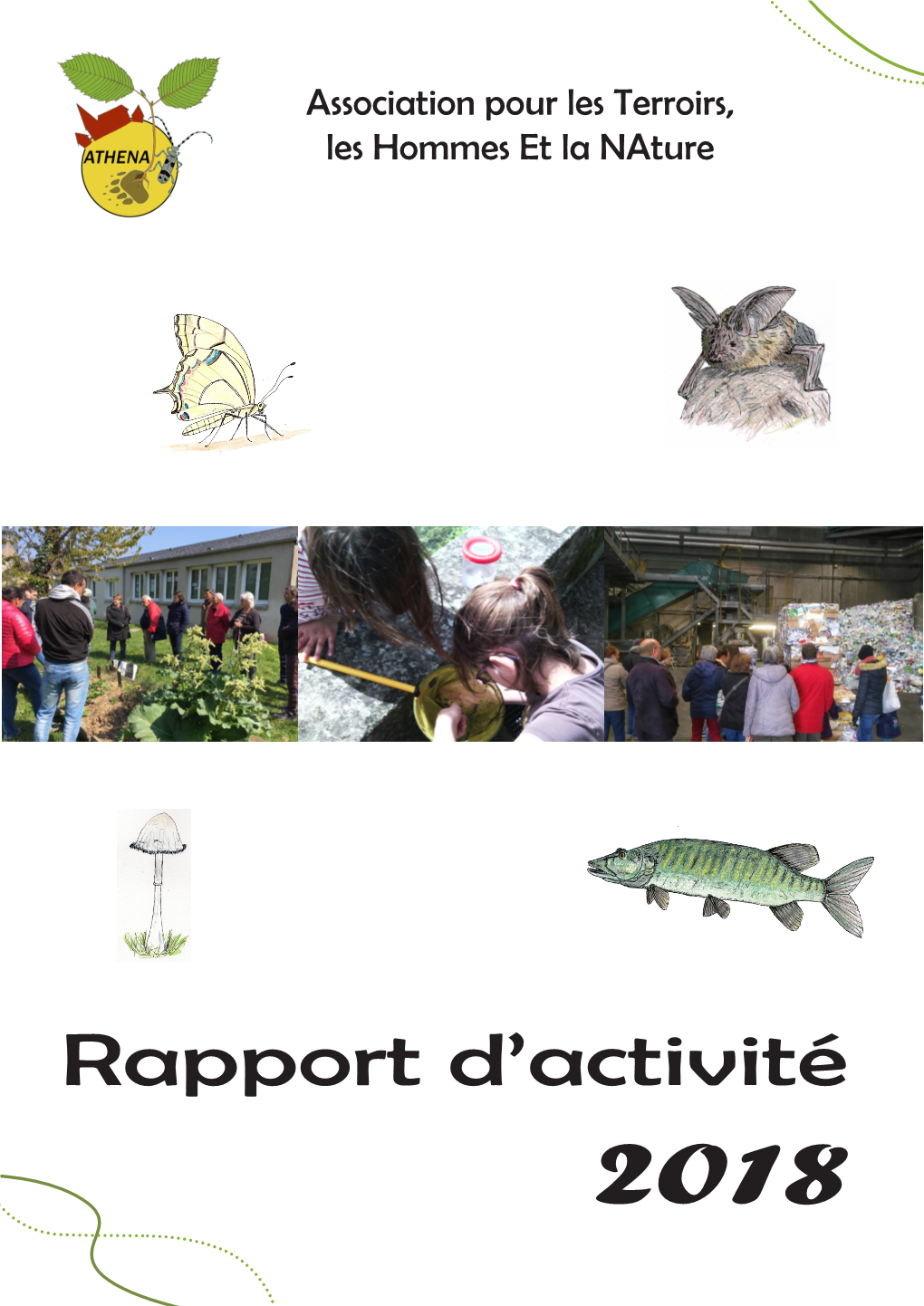 Rapport D'activité 2018