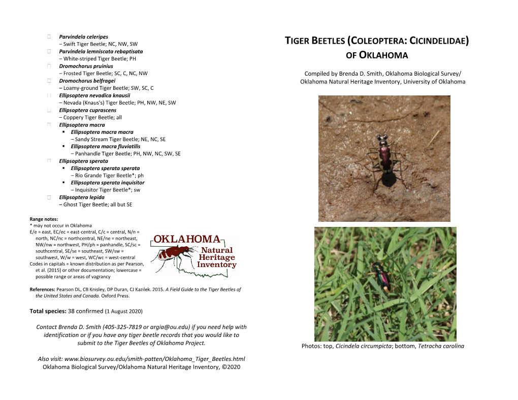 Tiger Beetles (Coleoptera:Cicindelidae)