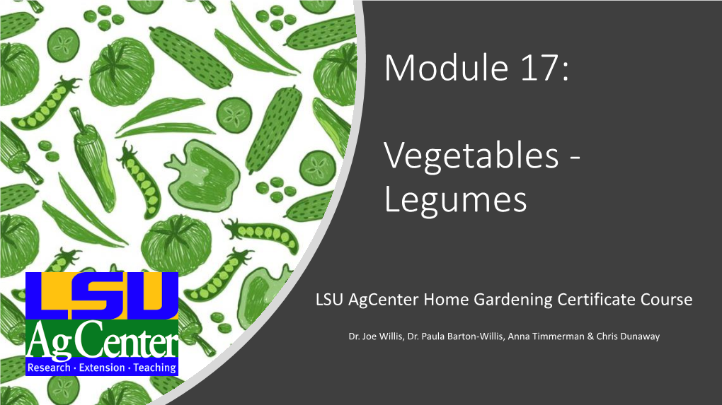 Vegetables - Legumes