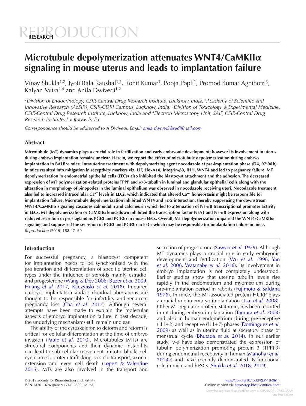 Microtubule Depolymerization Attenuates WNT4/Camkiiα Signaling in Mouse Uterus and Leads to Implantation Failure