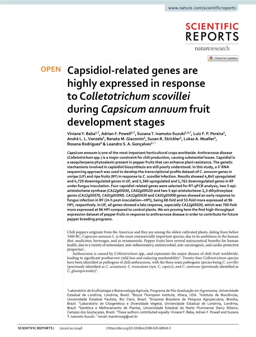 Capsidiol-Related Genes Are Highly Expressed in Response to Colletotrichum Scovillei During Capsicum Annuum Fruit Development St