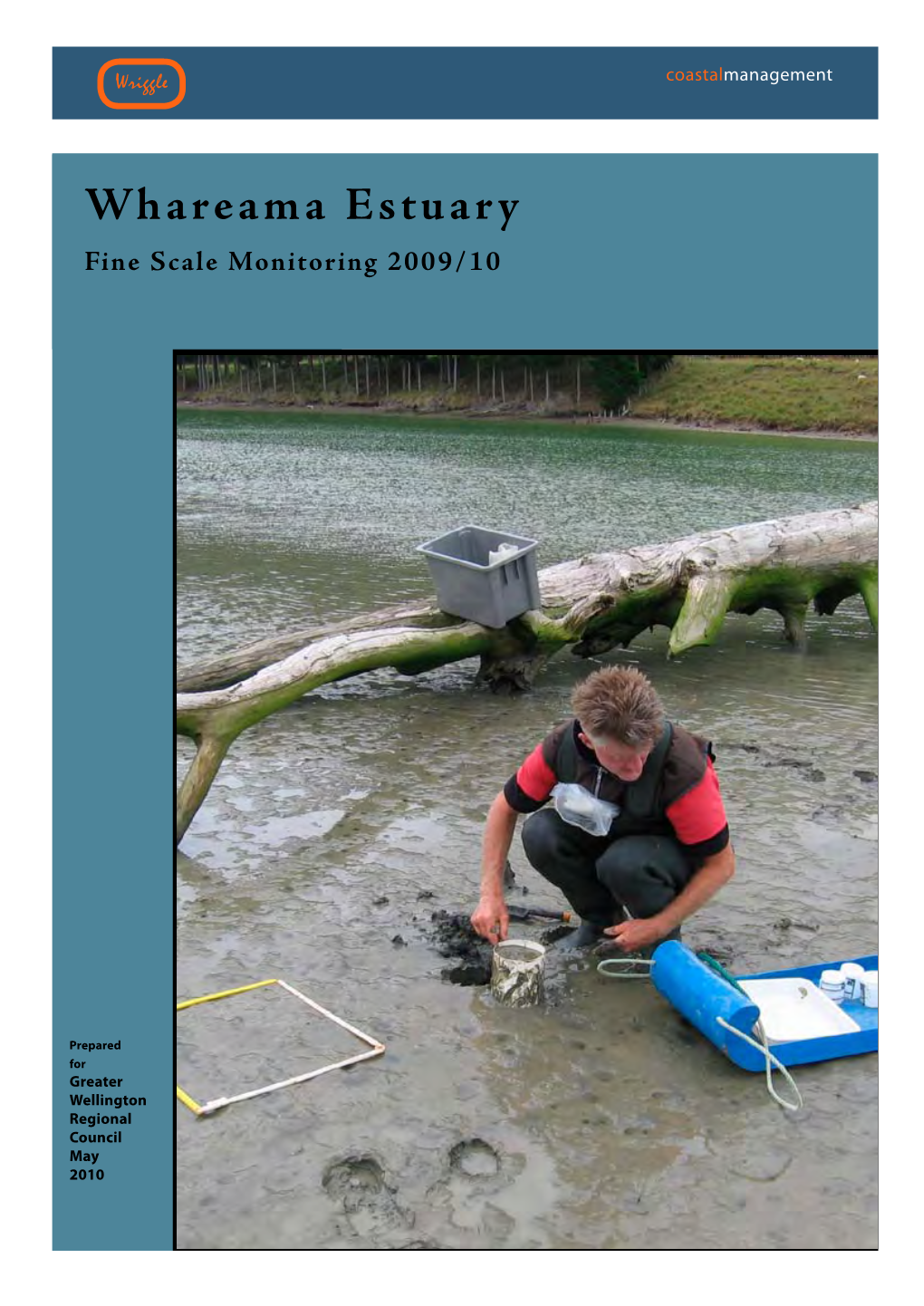 Whareama Estuary Fine Scale Monitoring 2009/10