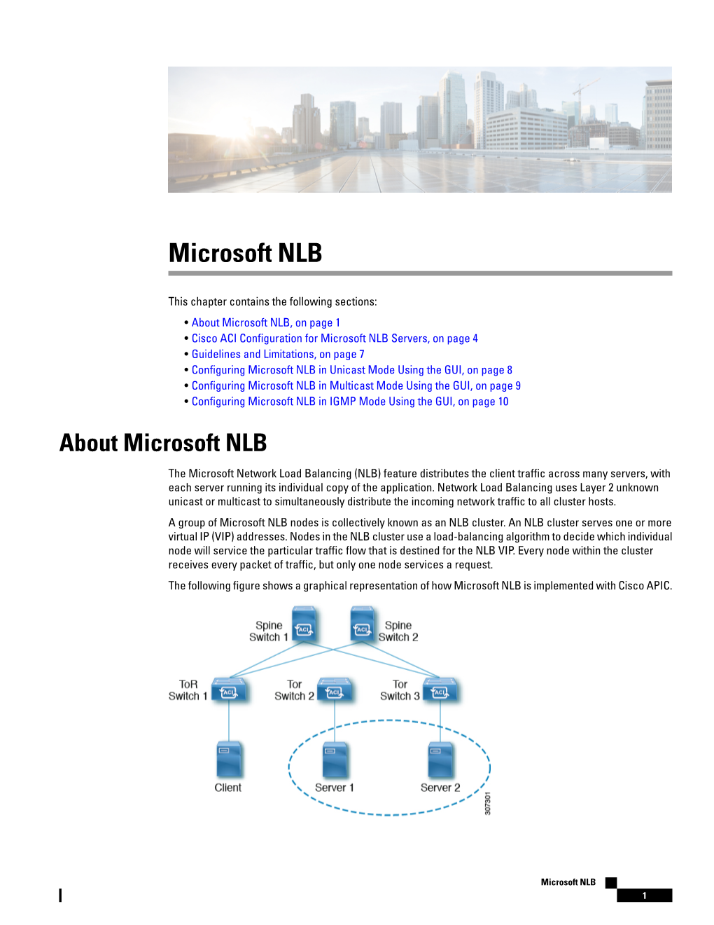 Microsoft NLB