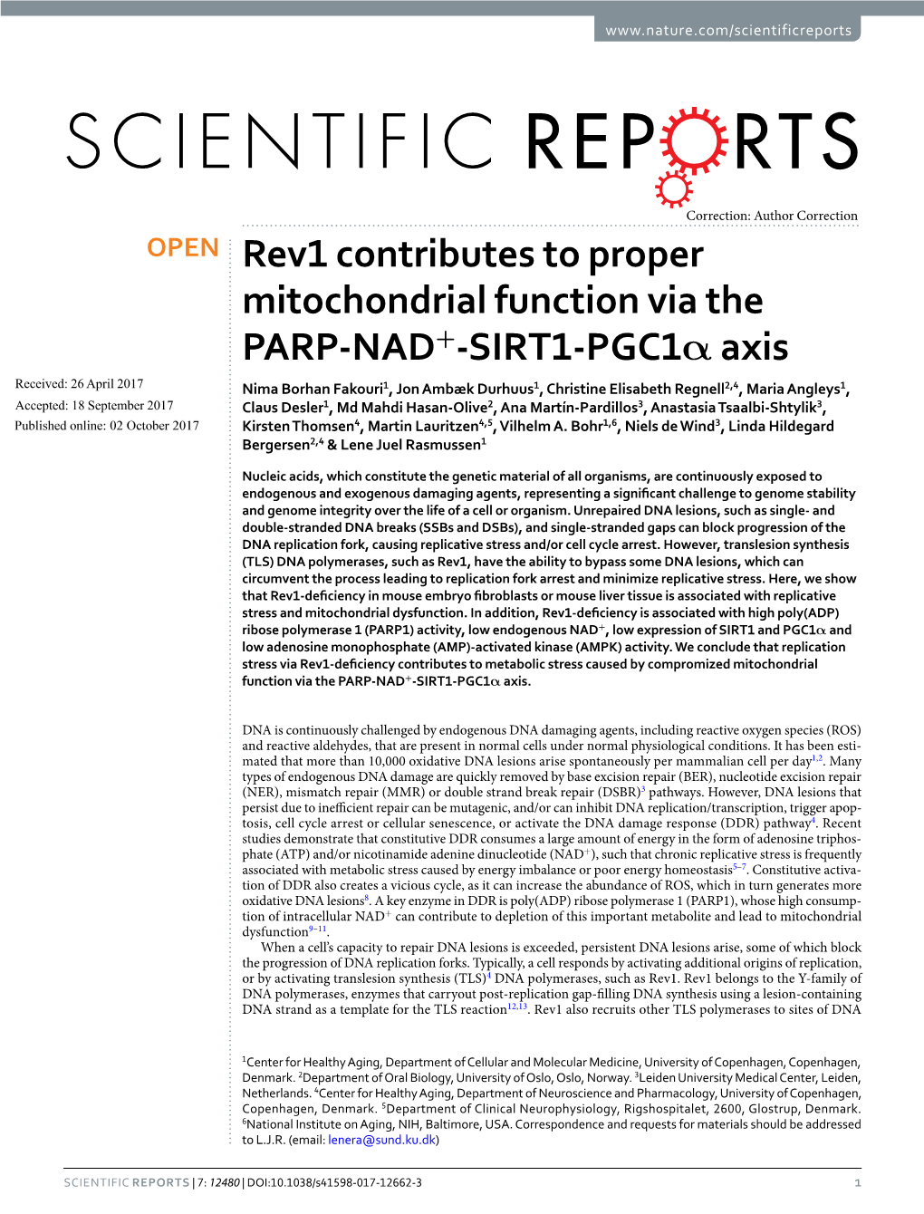 Rev1 Contributes to Proper Mitochondrial Function Via the PARP