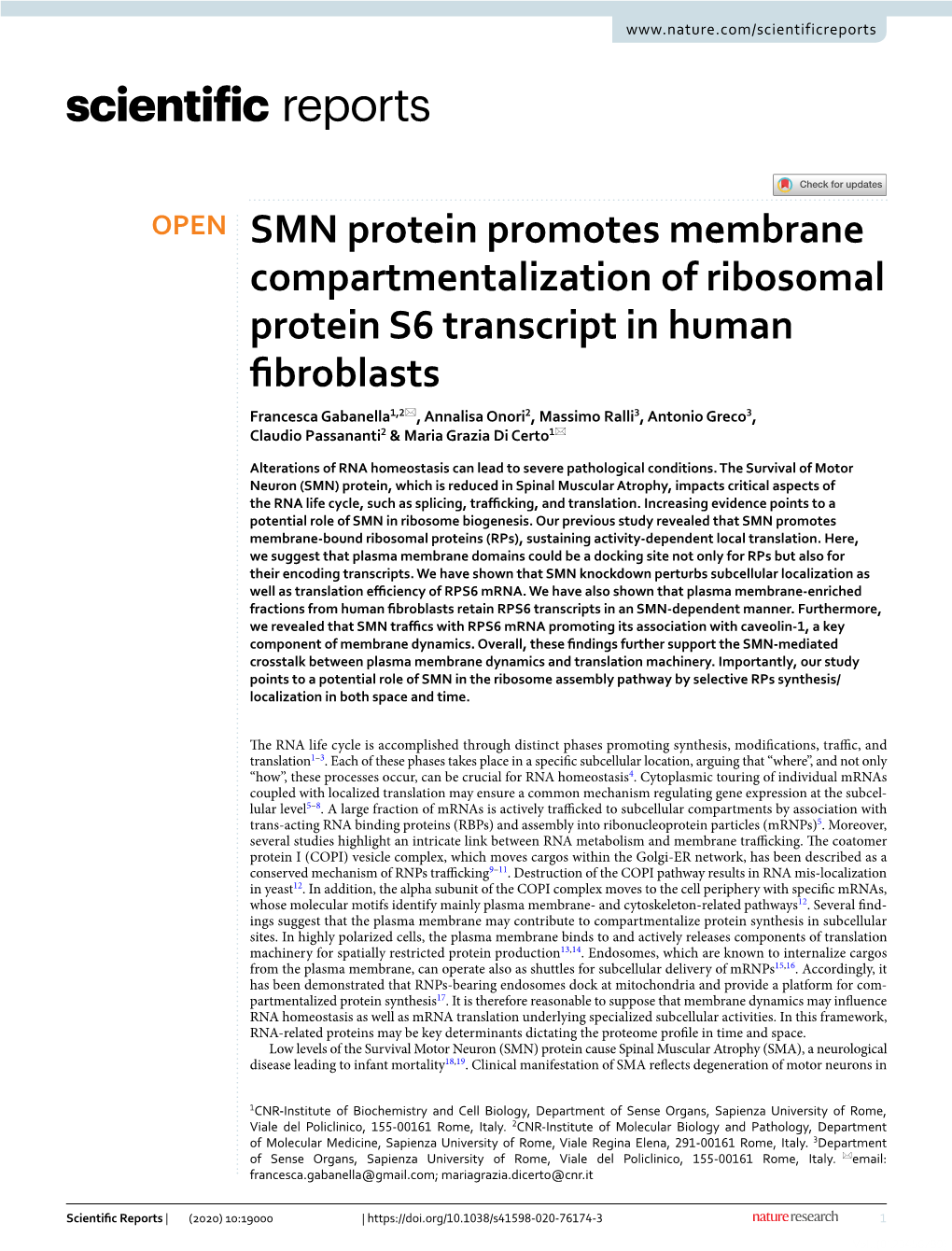 SMN Protein Promotes Membrane Compartmentalization of Ribosomal