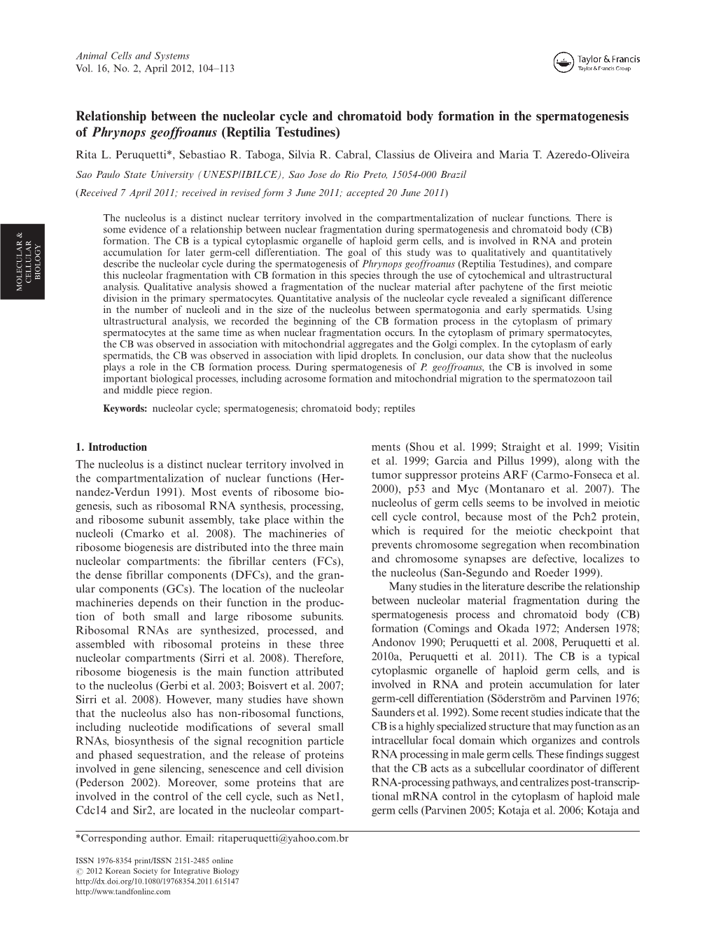 Relationship Between the Nucleolar Cycle and Chromatoid Body Formation in the Spermatogenesis of Phrynops Geoffroanus (Reptilia Testudines) Rita L