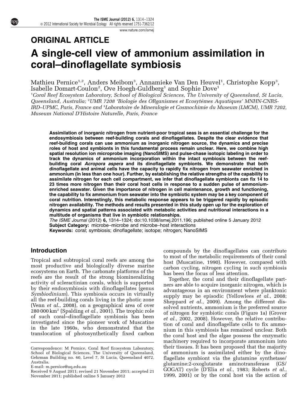 A Single-Cell View of Ammonium Assimilation in Coral–Dinoflagellate Symbiosis