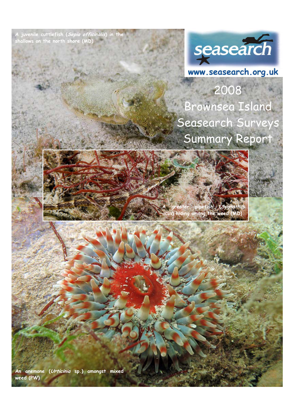 2008 Brownsea Island Seasearch Surveys Summary Report