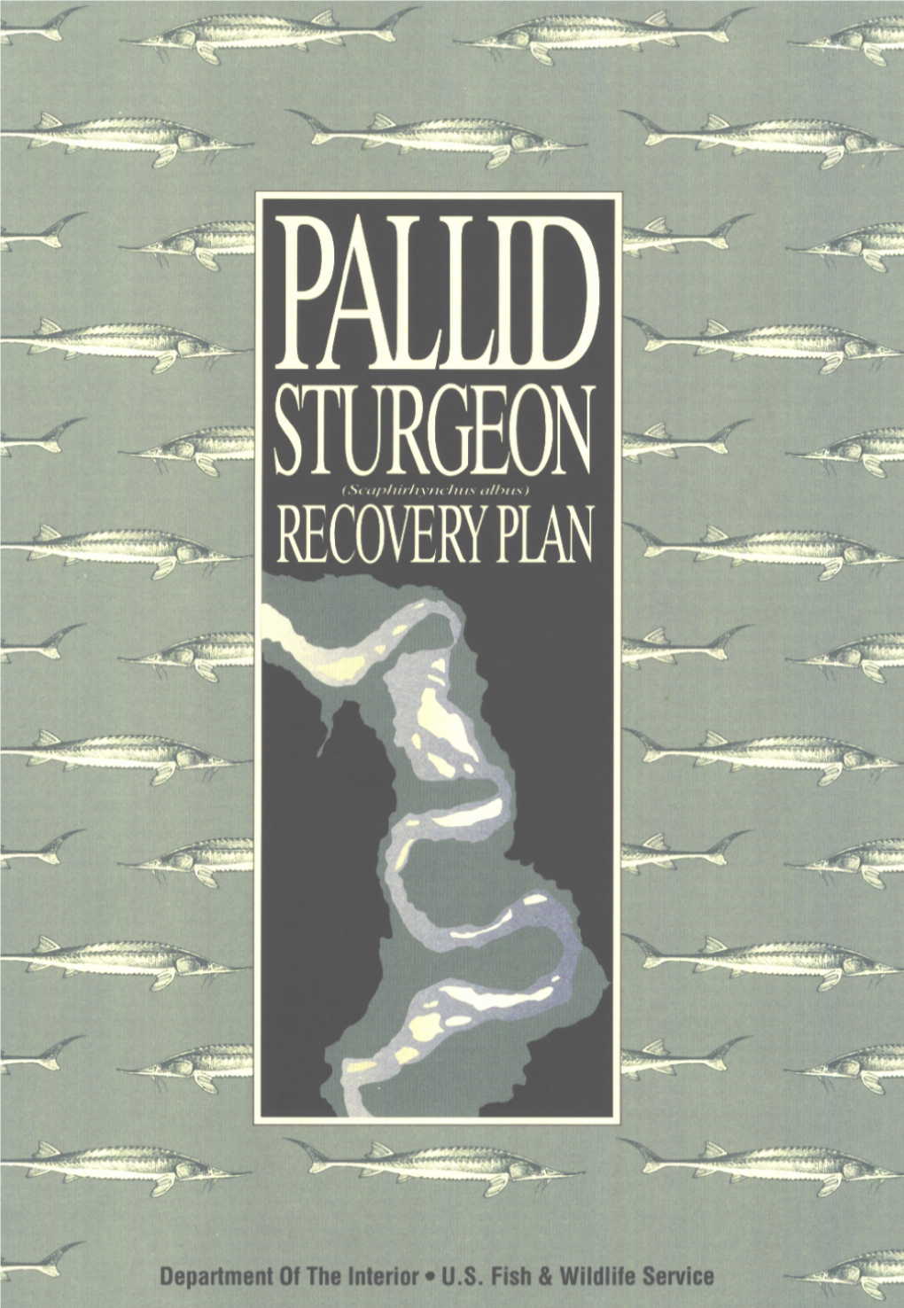 Recovery Plan for the Pallid Sturgeon