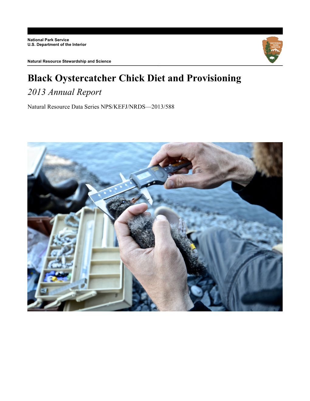 Black Oystercatcher Chick Diet and Provisioning 2013 Annual Report