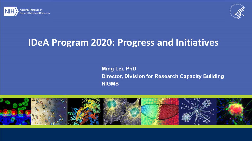 Idea Program 2020: Progress and Initiatives