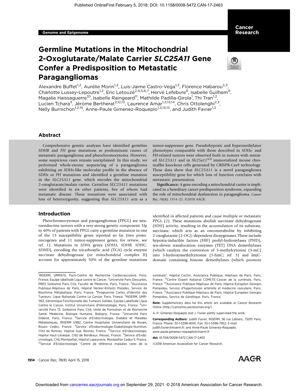 Germline Mutations in the Mitochondrial 2-Oxoglutarate