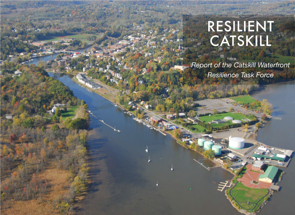 Catskill Task Force Final Report