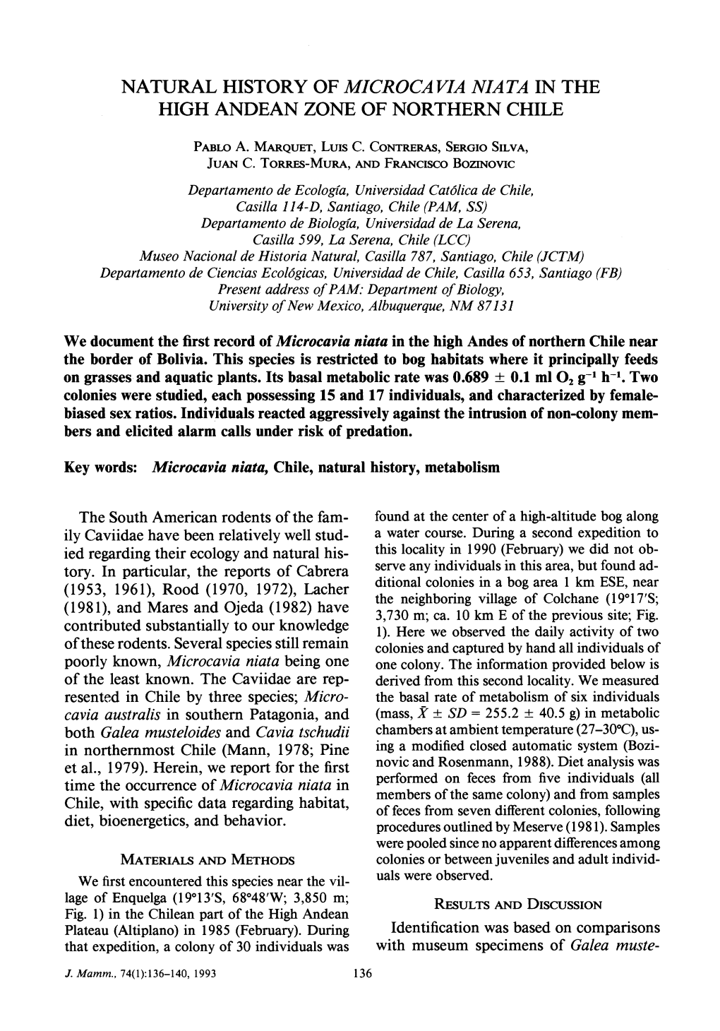 Natural History of Microcavia Niata in the High Andean Zone of Northern Chile