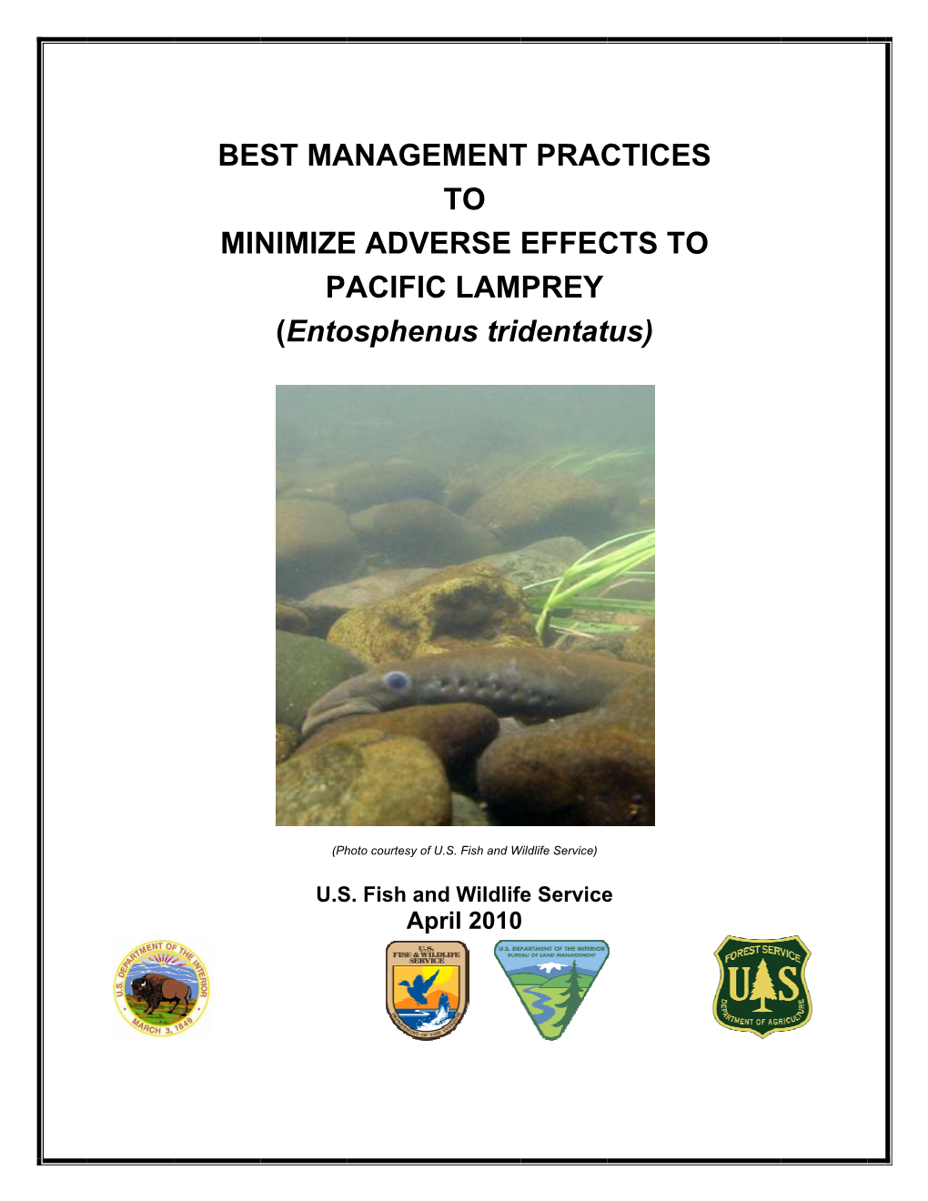 BEST MANAGEMENT PRACTICES to MINIMIZE ADVERSE EFFECTS to PACIFIC LAMPREY (Entosphenus Tridentatus)