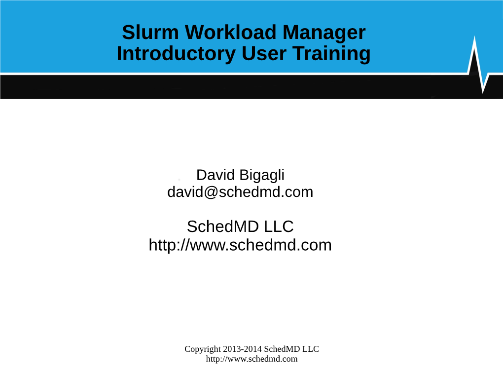 Slurm Workload Manager Introductory User Training