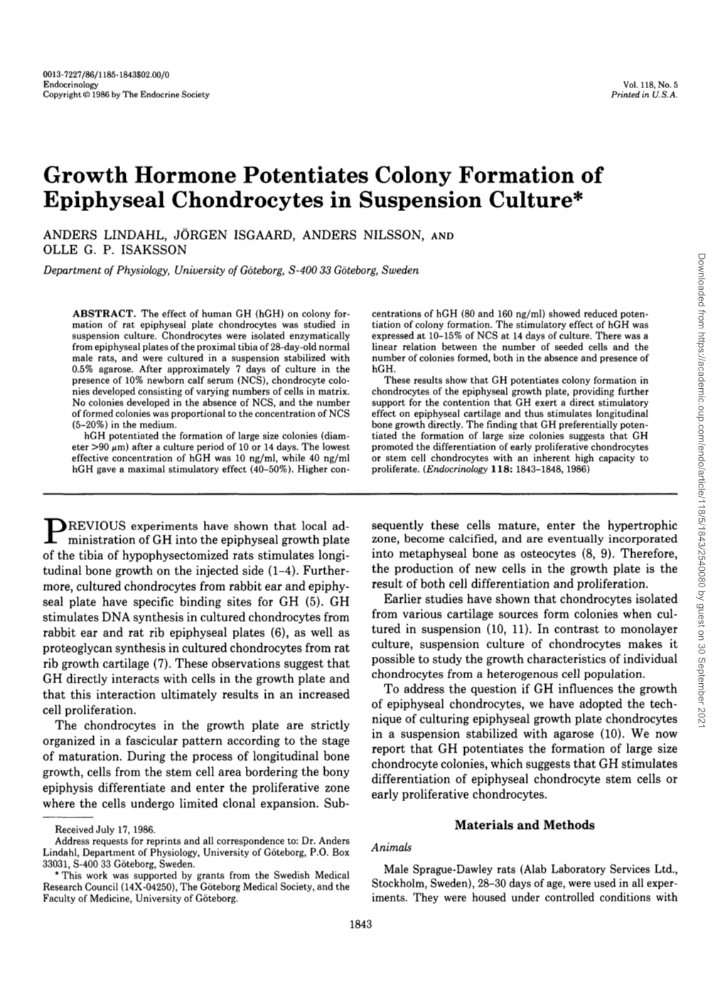 Growth Hormone Potentiates Colony Formation of Epiphyseal Chondrocytes in Suspension Culture*