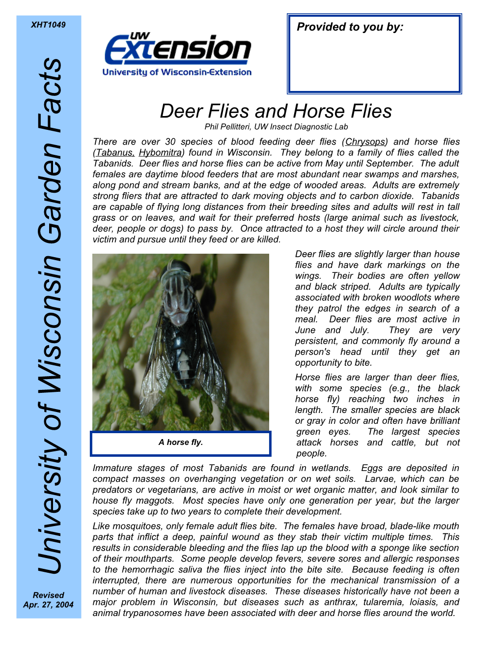 Deer Flies and Horse Flies