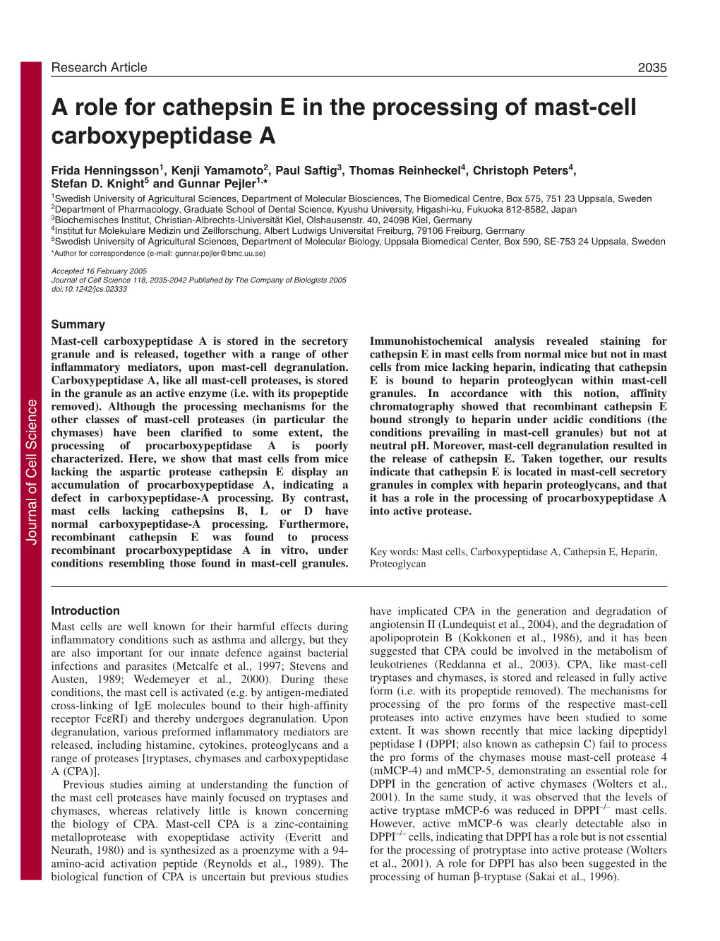 A Role for Cathepsin E in the Processing of Mast-Cell Carboxypeptidase A